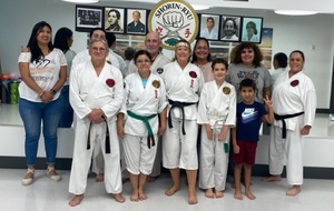 Ueshiro Shorin-Ryu Karate USA class