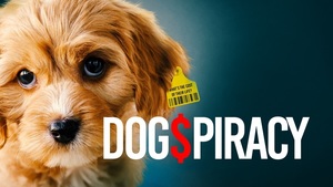 Dog$piracy Screening at the Roxie Theater