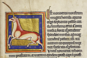 Illuminated Fantasy Bestiary Friday