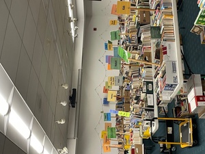 The BIG spring Book Sale at Rochambeau Library