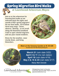 Spring Migration Bird Walk
