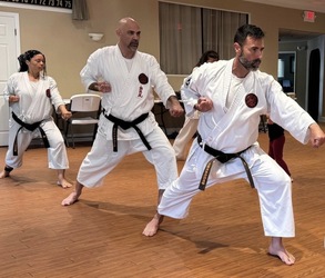 Ueshiro Shorin-Ryu Karate USA class