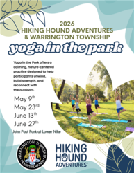 Yoga in the Park