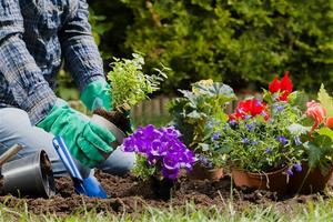 Fill Your Garden | Discovery Series