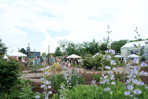 Field & Folk - Seasonal Market Series