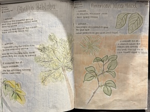 Peterson Young Naturalist Awards