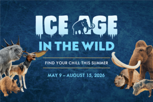 Ice Age in the Wild