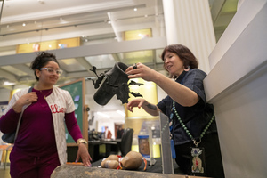 Educator Night: Flash! Bang! Boom!