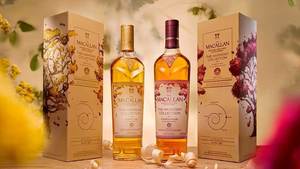 🥃 MACALLAN TASTING AT DAVIO’S IN FOXBOROUGH 🥃