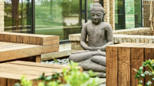 Stretch & Sip Yoga at The Reserve at The Highland