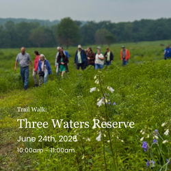 Trail Walk: Three Waters Reserve