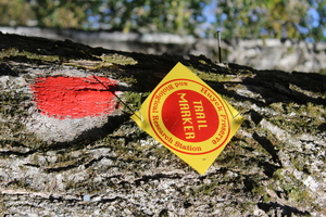 National Trail Day: Volunteer Trail Work