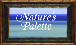 Schlitz Audubon 2026 Gala: Nature's Palette