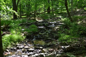 Heritage Conservancy Membership Appreciation #1: Spring Discovery Walk