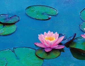 Film: Water Lilies by Monet