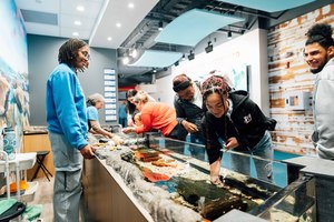 Aquarium Feeding Frenzy