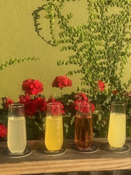 Mother’s Day at Bay Street Yard