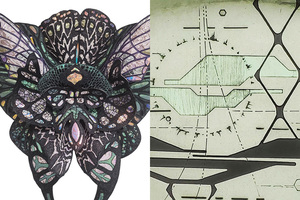Morphology & Modularity 