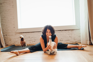 Chicken Yoga with Yoga Loft Tampa