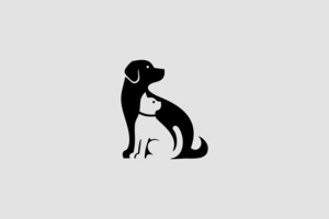 Adoptable dog meet-and-greet