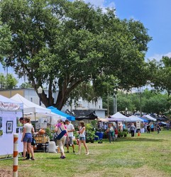 Clermont Garden Club Spring Festival, May 2