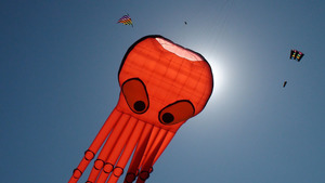 IKEA Family Kite Festival