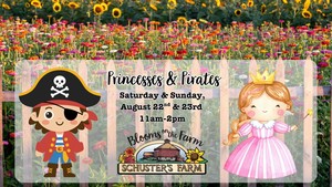 Princesses and Pirates