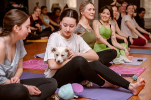 Rescue Puppy Yoga