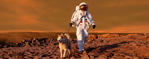 Life in Space