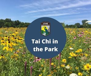 Tai Chi and QiGong in the Park