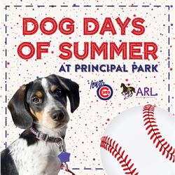 Dog Days of Summer at Iowa Cubs