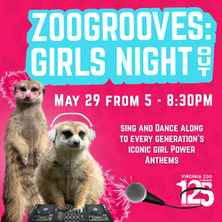 ZooGrooves: Girls Night Out