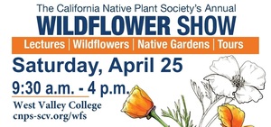 Wildflower Show