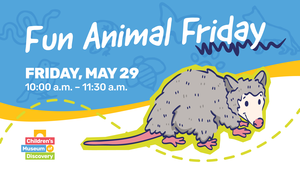 Fun Animal Friday: Possums