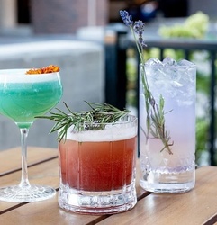 Cinco de Mayo Celebration at Elm & Good