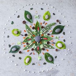 Nature Mandalas Tuesday, 4:30 pm May 5 | Ages 7-10