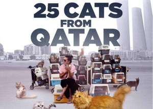 '25 Cats from Qatar' Charlotte Premier (Benefitting Charlotte Shelter Pets)
