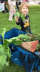 Plant Swap or Adopt