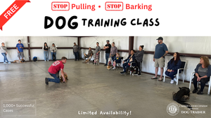 Free Dog Training Class