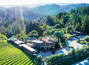 Upscale Wine Tasting/Speed Dating/Dance Party at Beautiful Winery