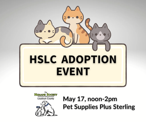 HSLC Adoption Event