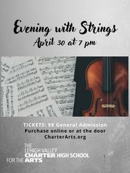 Evening with Strings