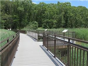 NJ Audubon Summer Stroll at Hawk Rise Sanctuary
