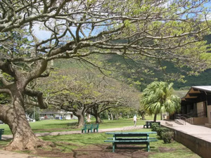 Malama Manoa Walkabout