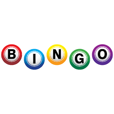 Book Bingo at Vineland Public Library