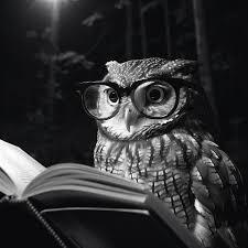 Evening Adult Book Club at Vineland Public Library