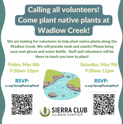 Sierra Club Illinois to Host Workday at Wadlow Creek Restoration Area, May 8, 2026