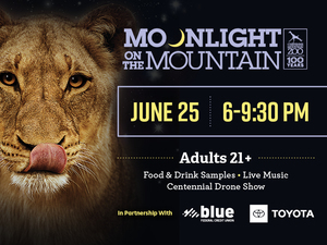 Moonlight on the Mountain