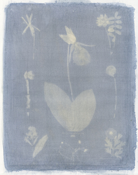 Amanda Marchand and Leah Sobsey: This Earthen Door