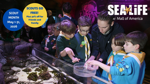 Scout Days at SEA LIFE at Mall of America!